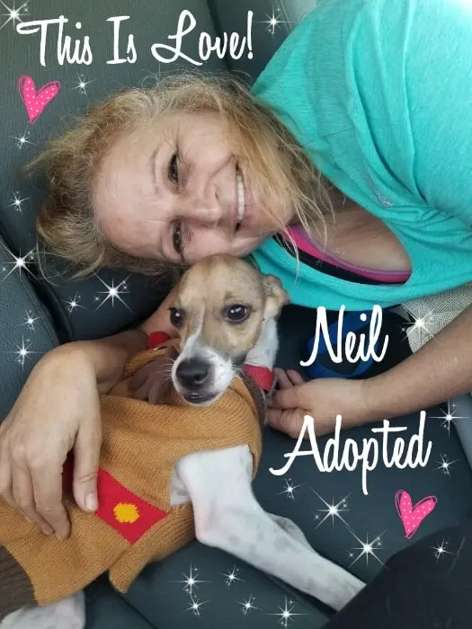 A woman posing with her adopted dog neil