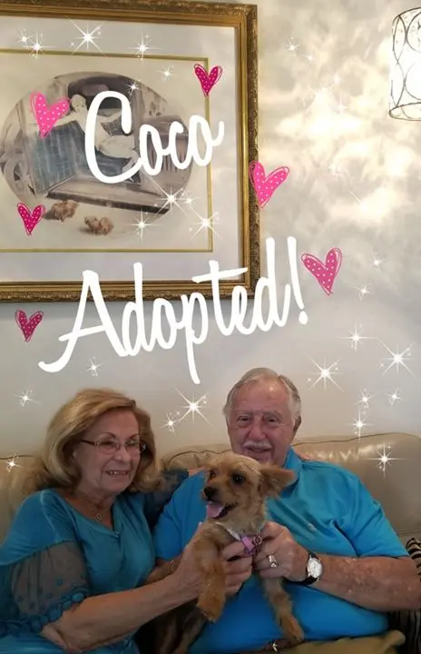 An old couple posing for a picture with their adopted dog coco