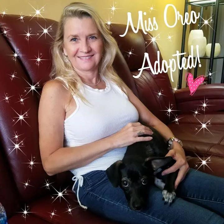A woman holding her adopted dog Miss oreo